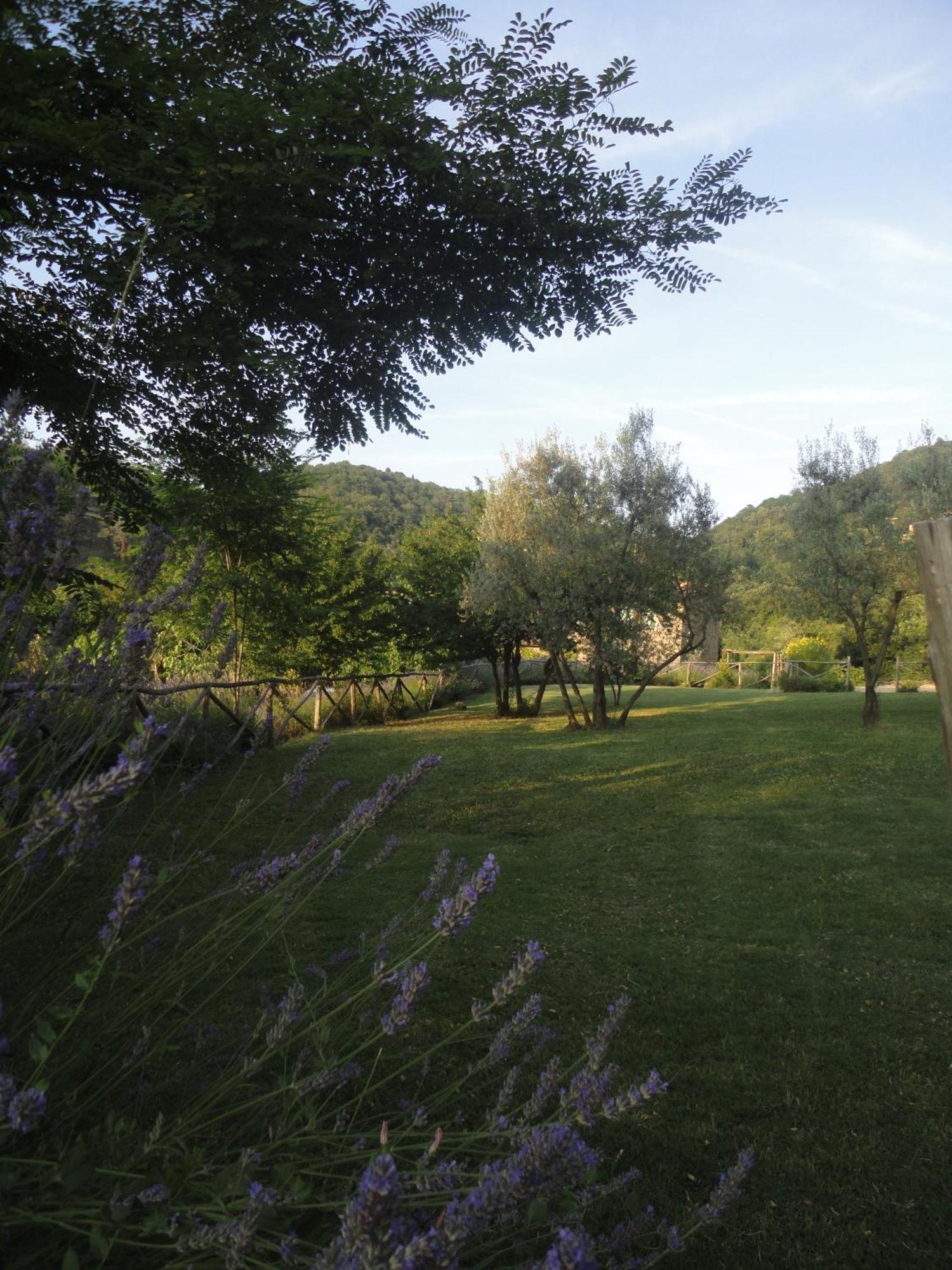Il Capriolo Villa San Cerbone Exterior photo