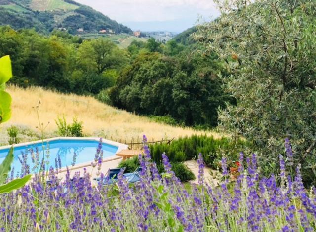Il Capriolo Villa San Cerbone Exterior photo