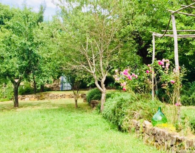 Il Capriolo Villa San Cerbone Exterior photo