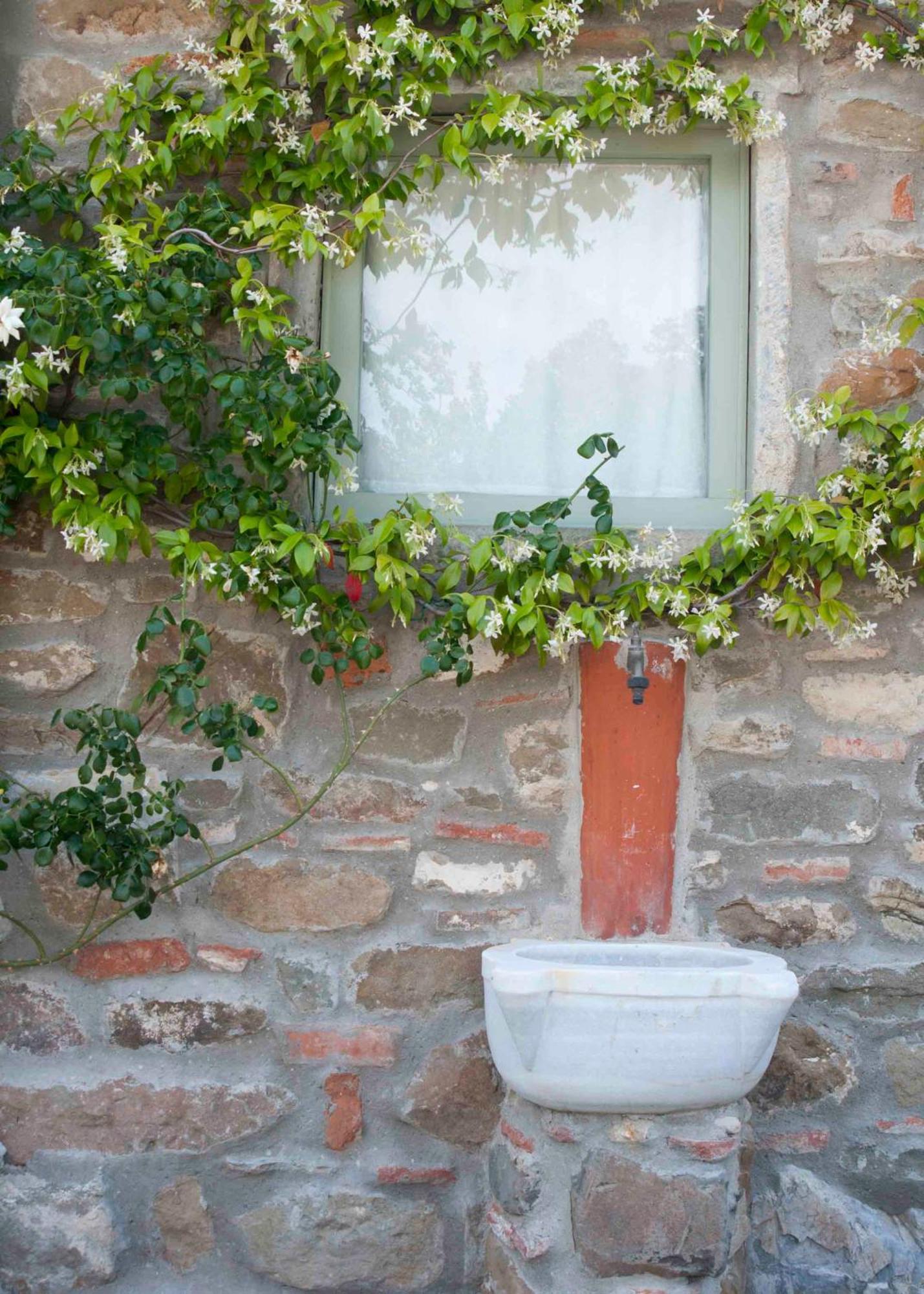 Il Capriolo Villa San Cerbone Exterior photo