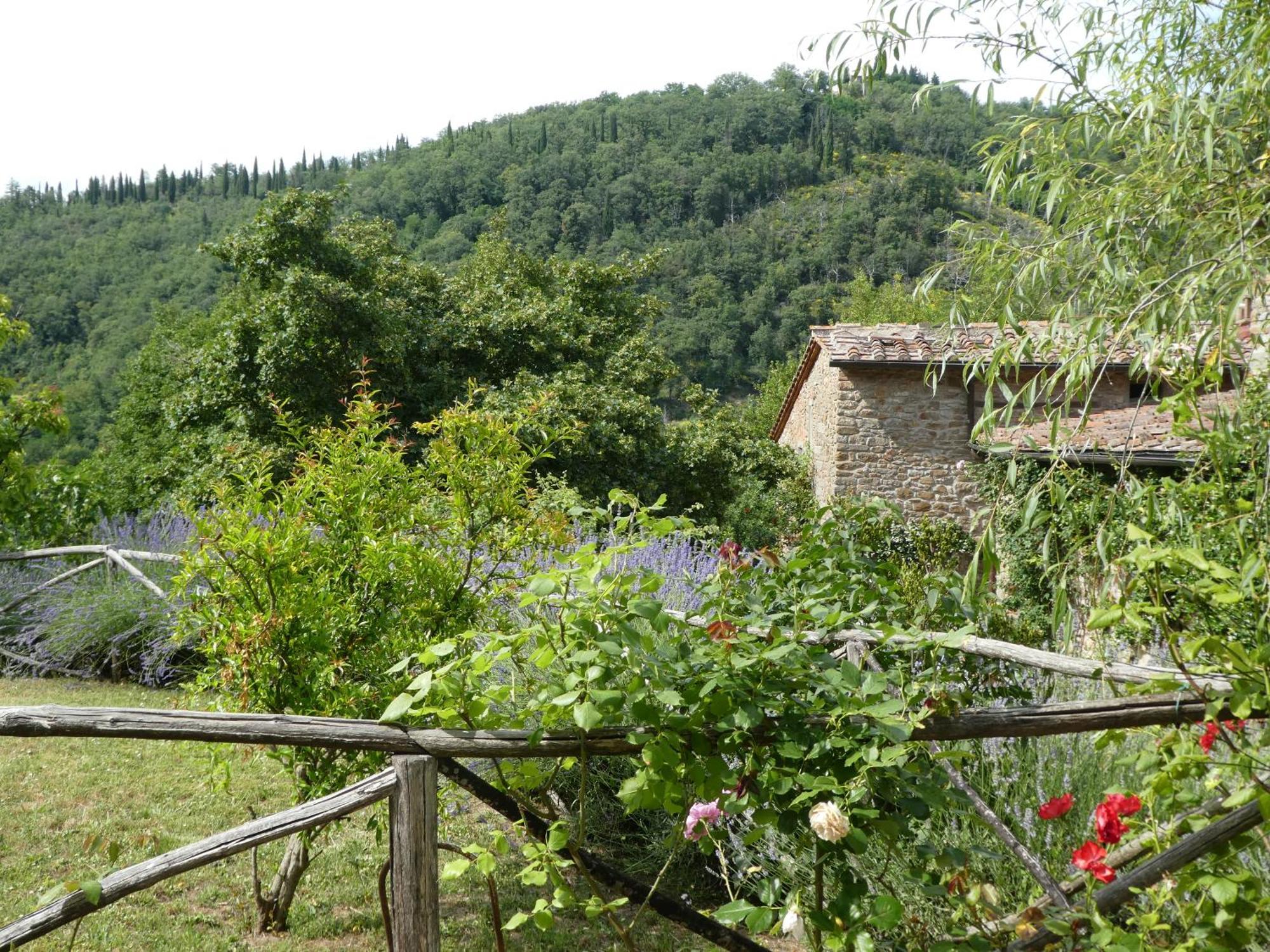 Il Capriolo Villa San Cerbone Exterior photo