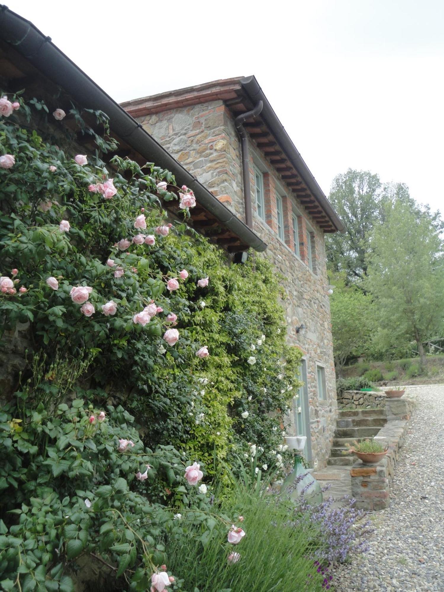Il Capriolo Villa San Cerbone Exterior photo